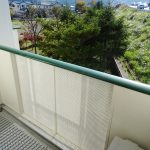 前面が公園なので緑がきれいです。