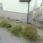 小さなお庭