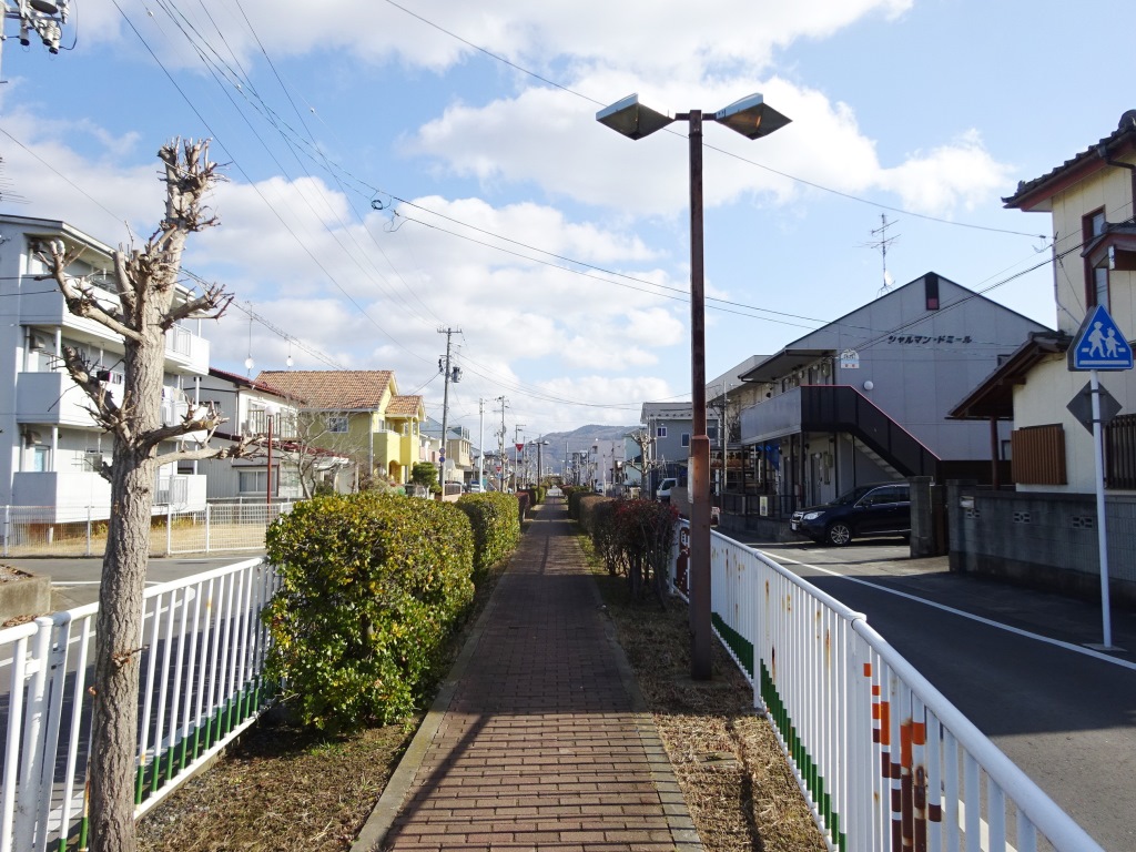 近隣に緑道があり、緑が多いです。