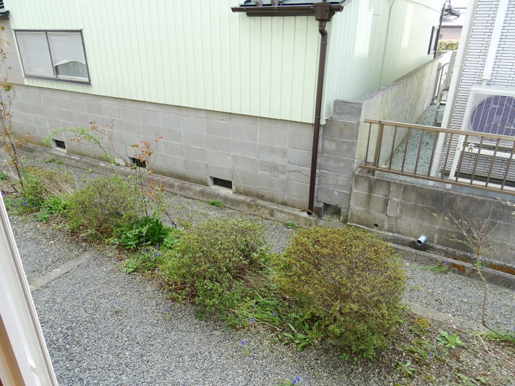 小さなお庭