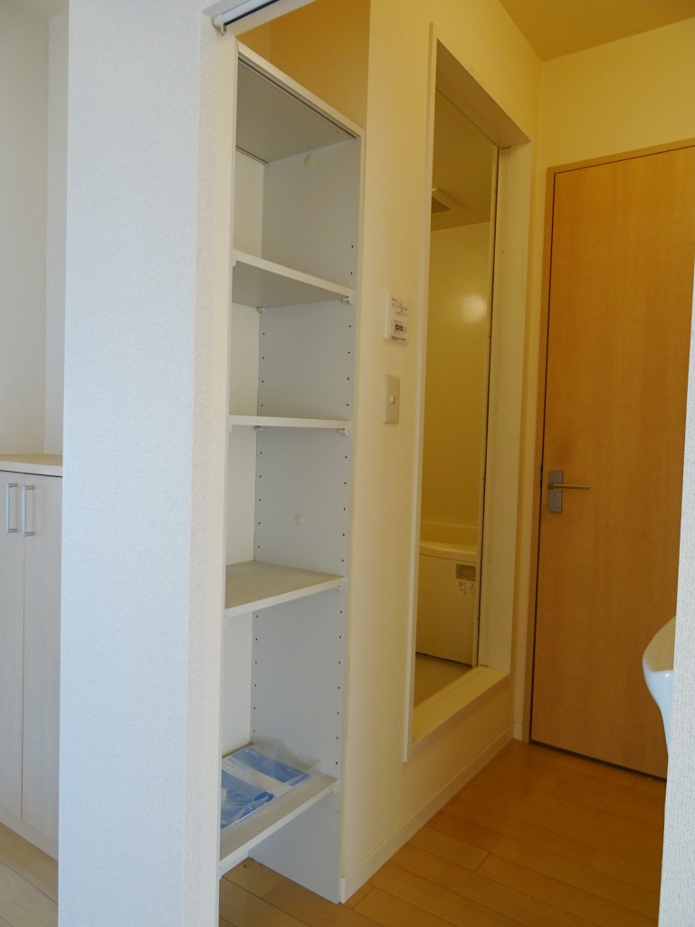 タオルや洗面用具の収納に便利な洗面所の収納 (内装)