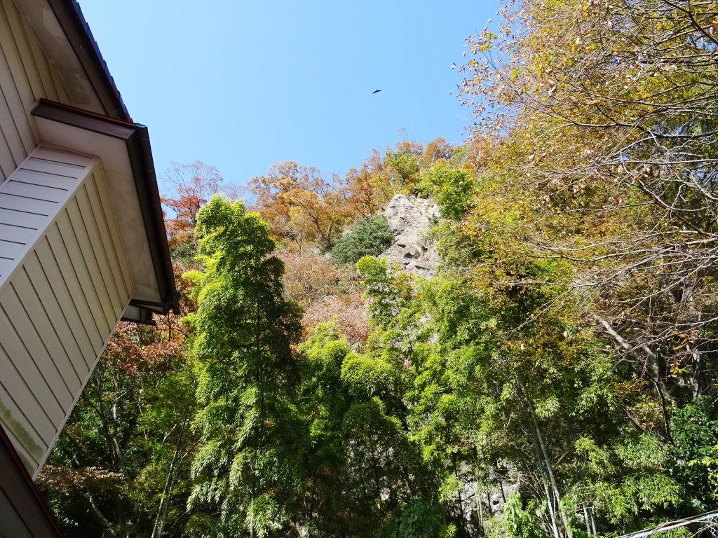 山林