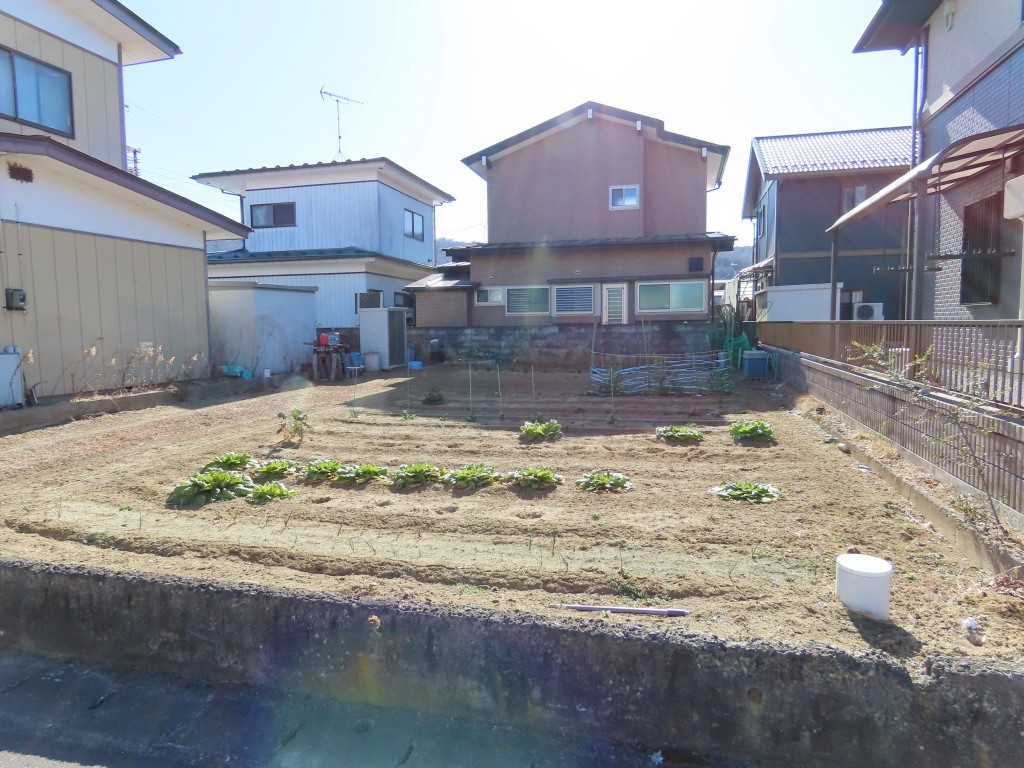 現地写真
