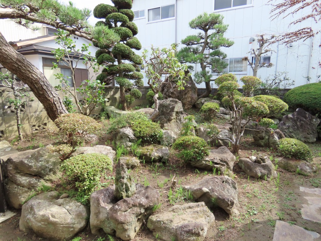 庭